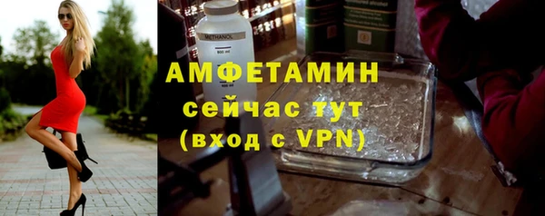 шишки Горнозаводск