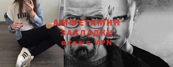 шишки Горнозаводск