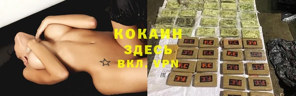 прущие грибы Гусиноозёрск