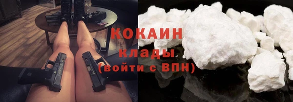шишки Горнозаводск