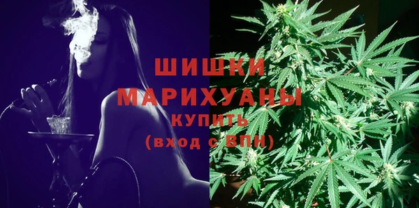 шишки Горнозаводск