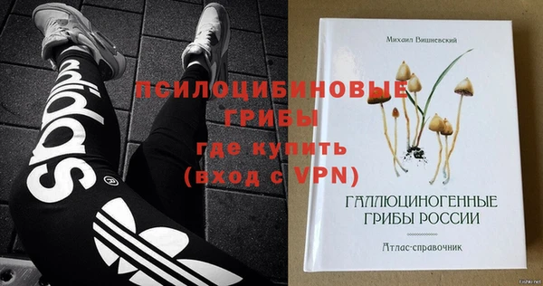 шишки Горнозаводск