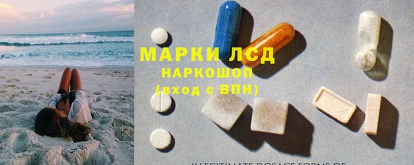 индика Покачи