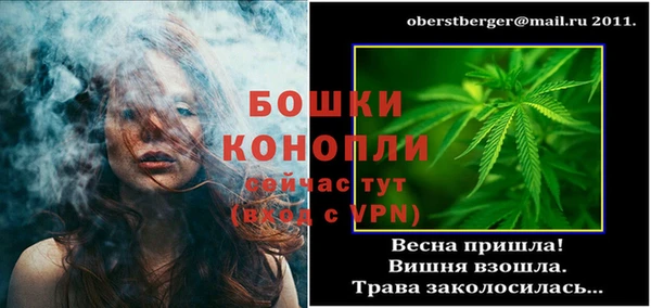 шишки Горнозаводск